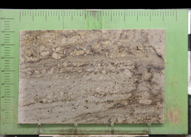 Siena Cream Granite